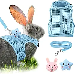 Conjunto de arnês e coleira de coelho com 2 decorações fofas, roupas de coelhinho, fivela ajustável, colete de malha respirável para coelhos, furão, porco pequeno, suprimentos para caminhada (azul