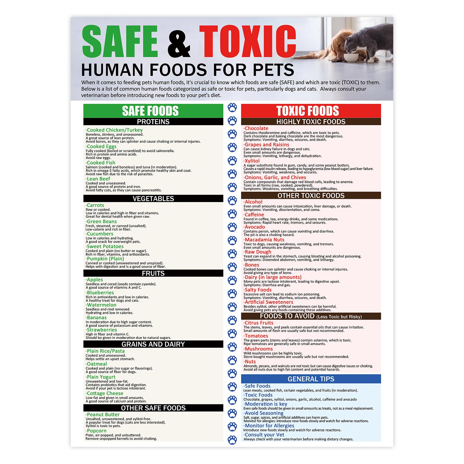 Magnetic Safe and Toxic Foods for Dogs and Cats,Essential Pet Health Guide Fridge Magnet,People Food Dogs Cats Should Not Eat - 12" x 16"