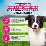 Ver la foto 5