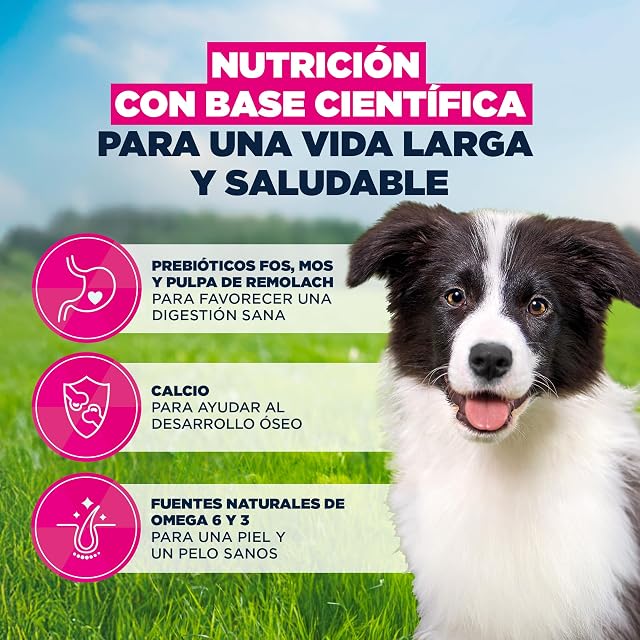 Foto 5 de 8 de Eukanuba - Pienso para perros cachorros medianos Eukanuba pollo fresco 15 kg