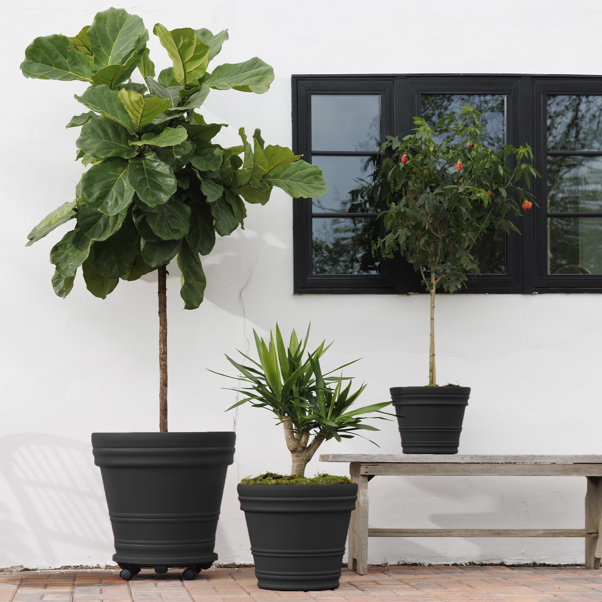 Amazon.com : Bloem Rolled Rim 16