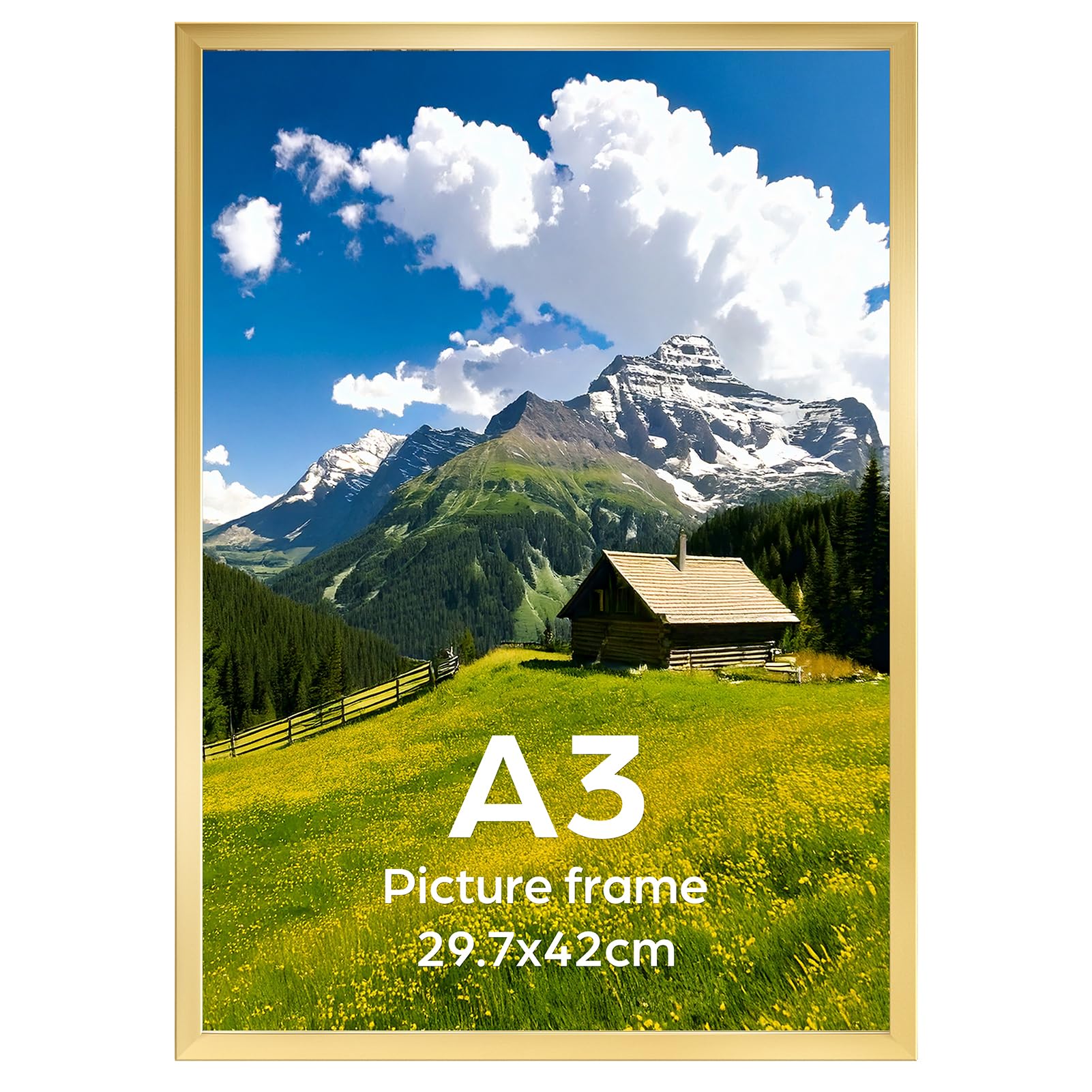 Ditwis A3 Picture Frame Gold, Large Poster Frame for Horizontal or Vertical Wall Display in Living Room, Office, Gallery