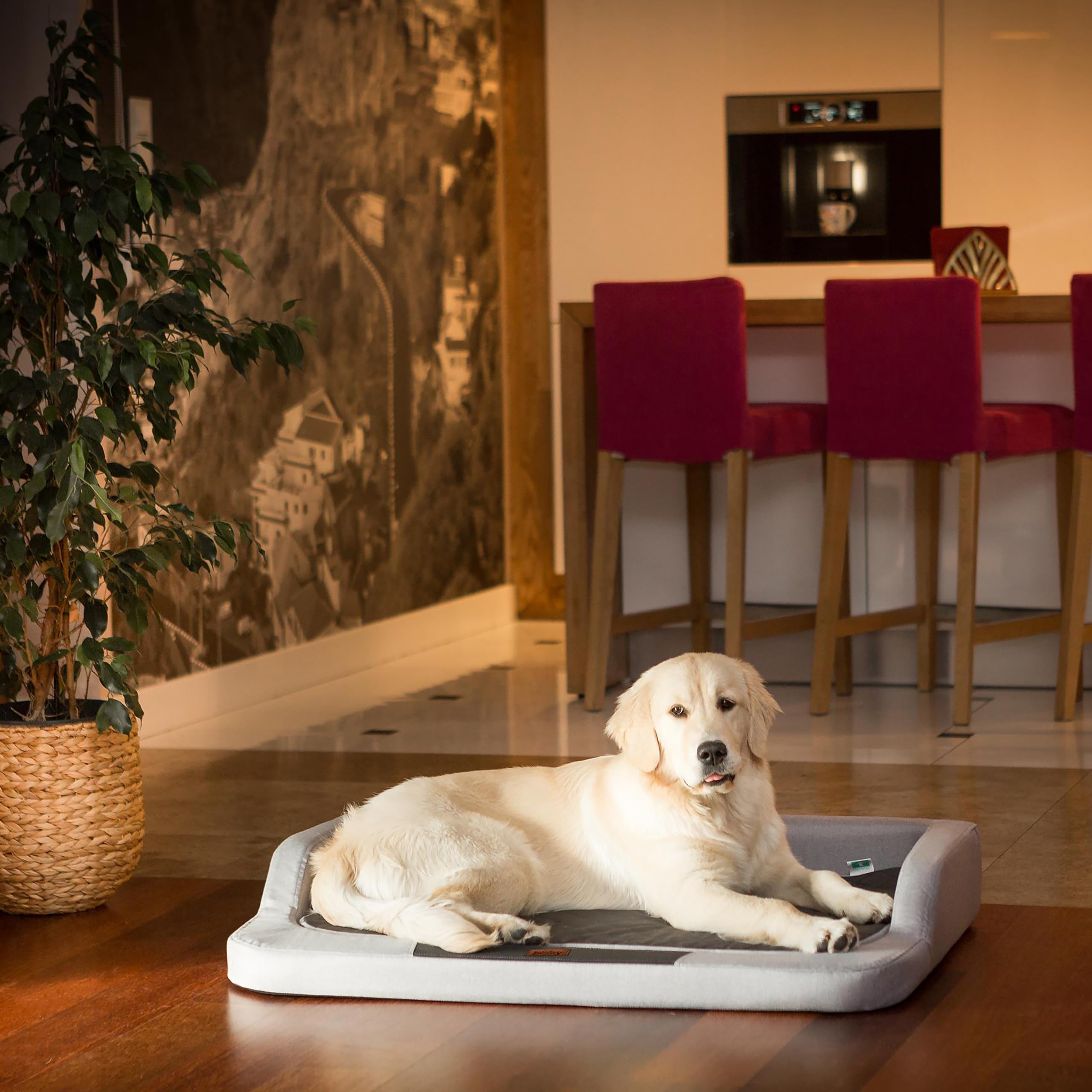 Cama para perros, espacio para dormir, sofá, sofá, accesorios para perros, cojín para perros, 75 x 50 cm