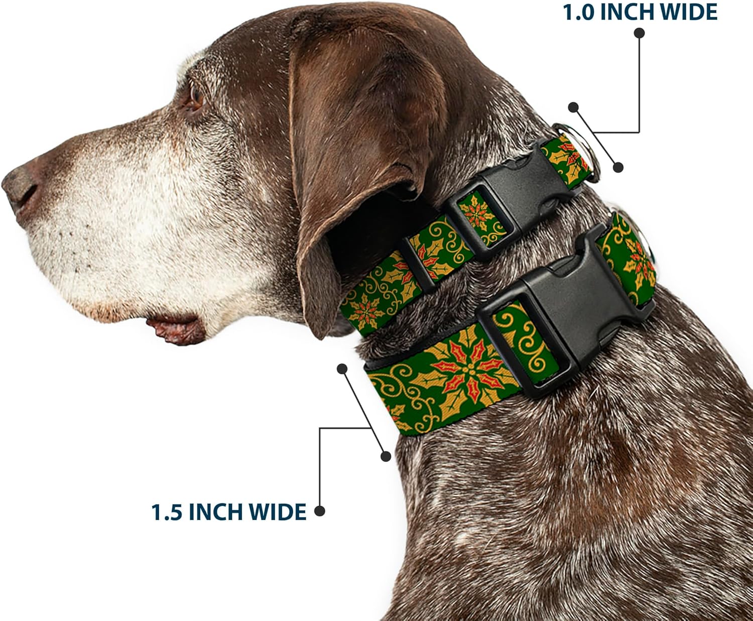Buckle-Down Plastic Clip Collar - Holiday Holly Green/Gold/Red - 1.5" Wide - Fits 16-23" Neck - Medium