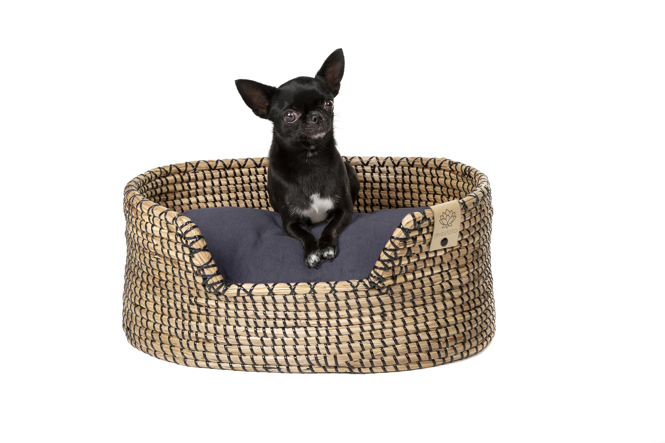 MISSLOTO Cama para Perros y Gatos pequeños - Impermeable - Viscoelástica - Seagrass Fibras Naturales