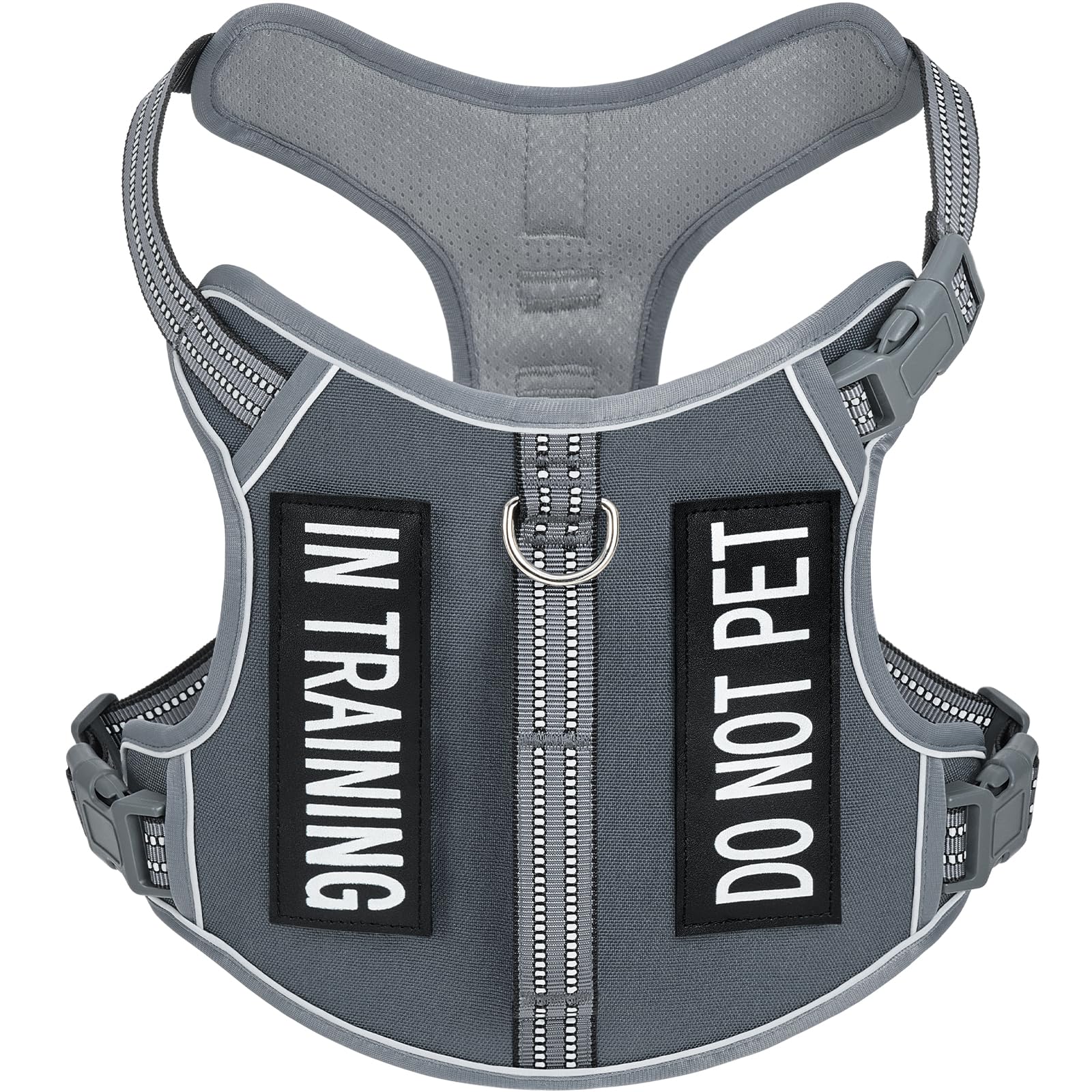 Lightweight Dog Harness for Small Size Dogs, No Pull Pet Harness with 2 Leash Clips, Adjustable Soft Padded Vest, Reflective Pet Oxford Vest, Puggle, Terriers — image 1