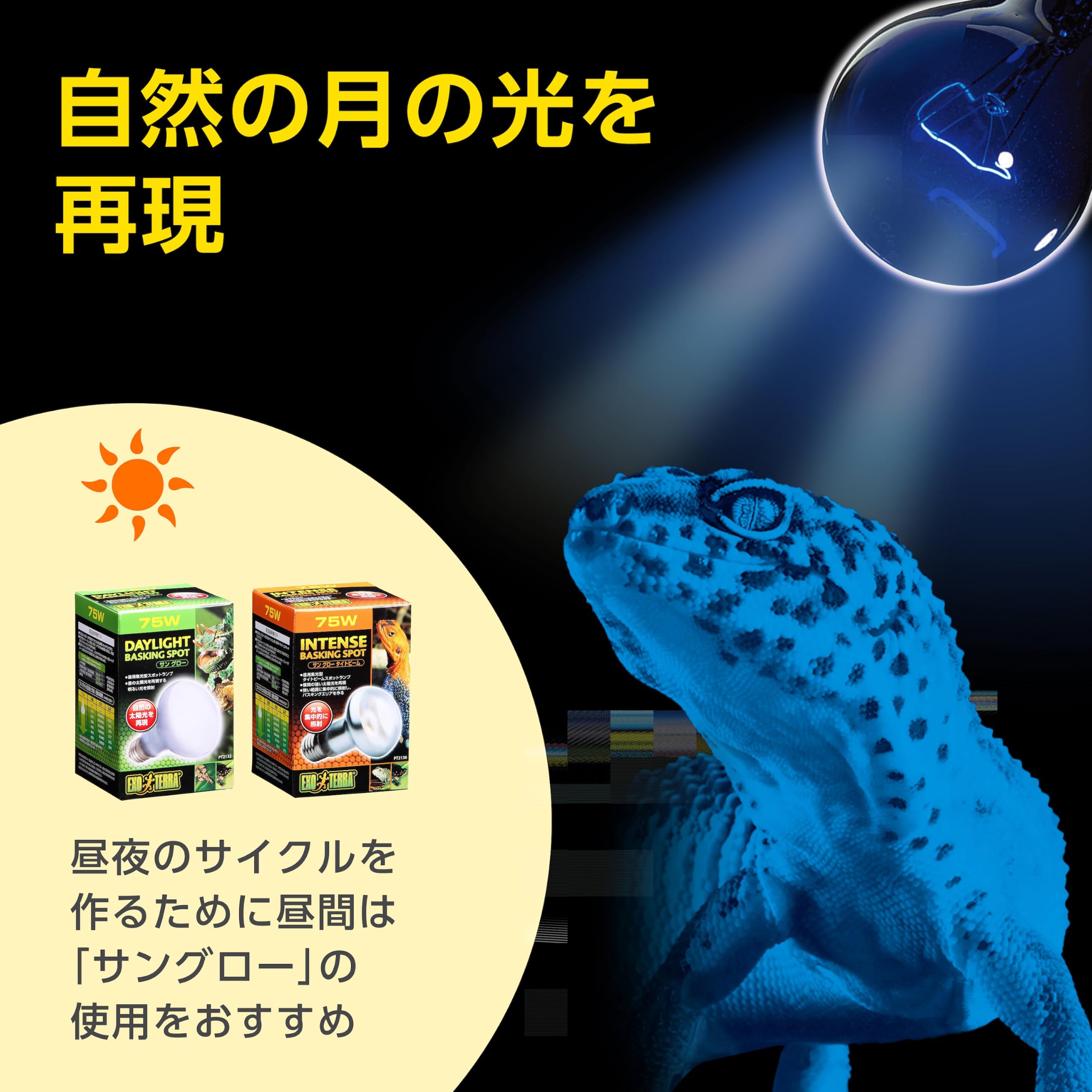 Amazon | GEX EXOTERRA ナイトグロー ムーンライトランプ 50W 夜行性