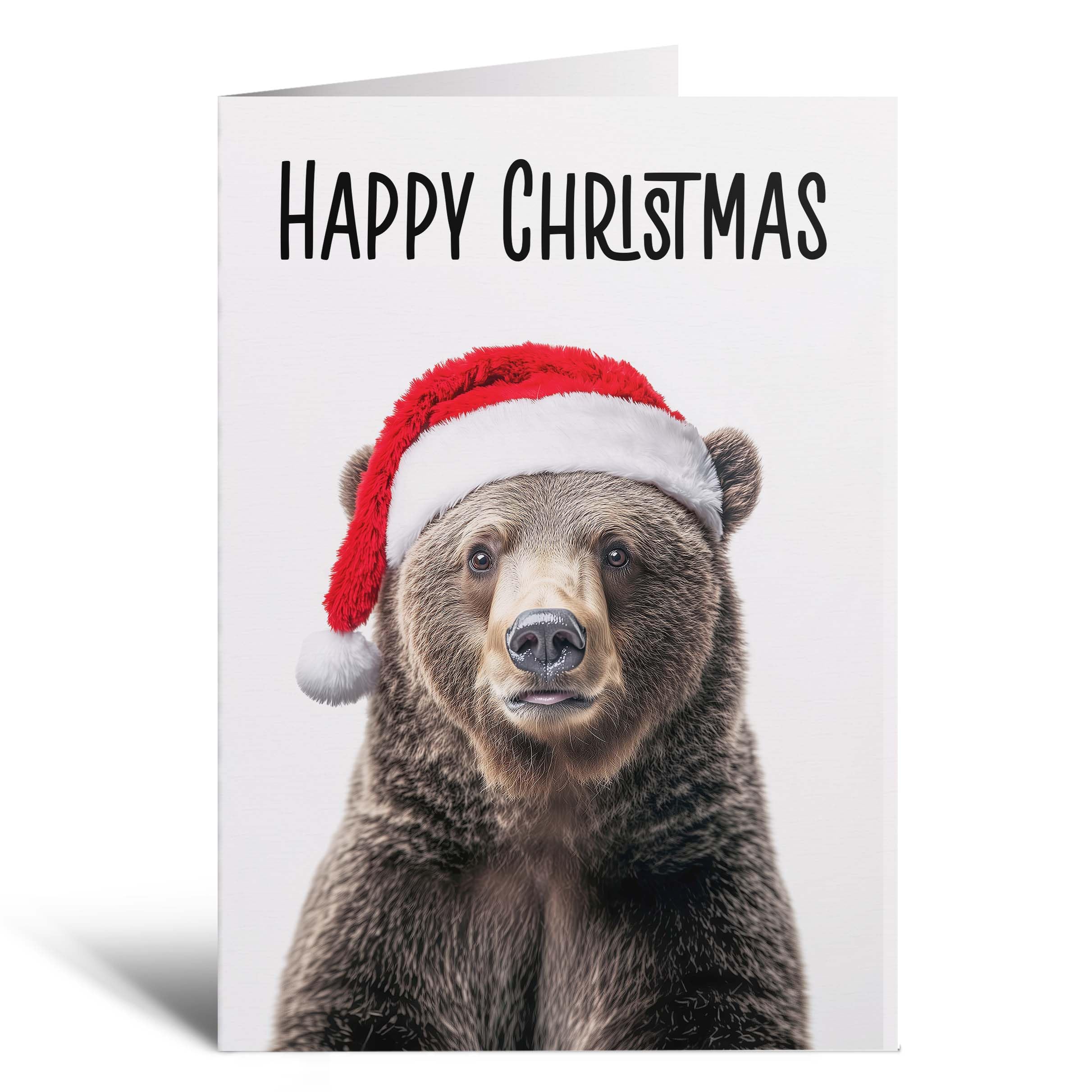 Postcard Prints - Fun Christmas Card of a Bear Wearing A Santa Hat Whimsical Christmas Card For Animal Lover For Him or Her - 3 Cards