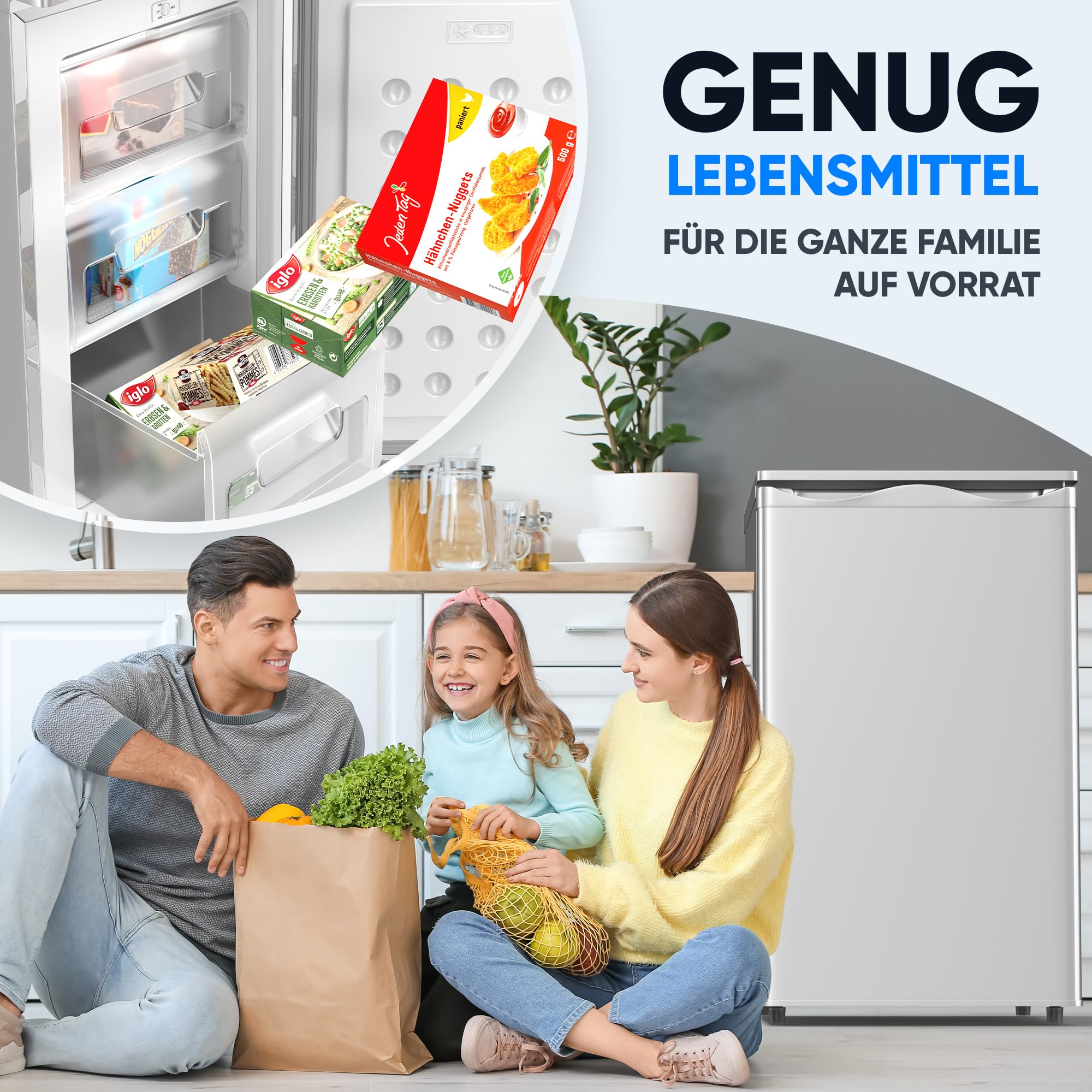 Stillstern Gefrierschrank Klein 73L 4-Sterne-Gefrierfach -18°C Mini Freezer 3 Fächer stufenlos regelbare Temperatur Türanschlag rechts/links R600A Silber