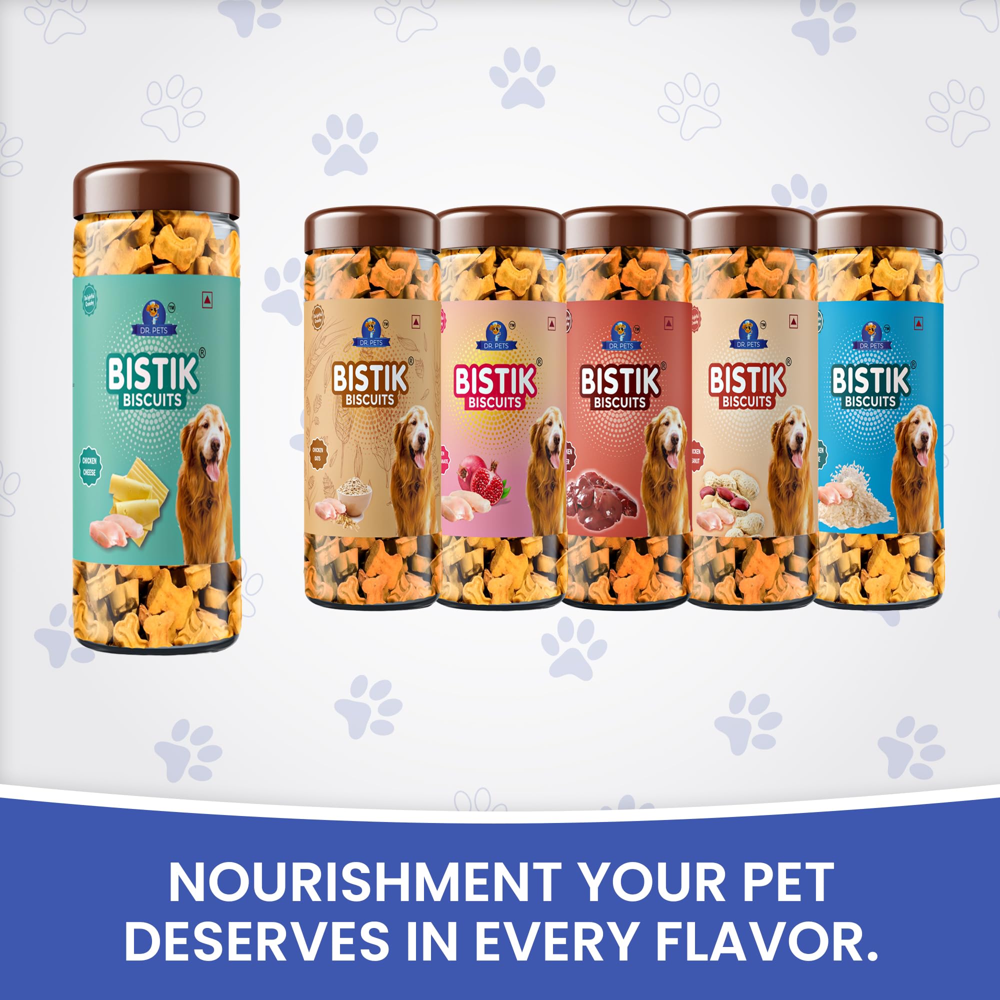Dr. Pets 450g Bistik Dog Biscuits | Chicken Cheese Flavour | Gluten Free Dog Treats for Puppies & Adult Dogs | Crunchy Training Reward & Daily Snack | Jar Pack 4