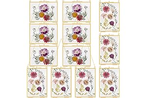 Nostalgic Pressed Flower Frames: Preserve Memories with Timeless Elegance