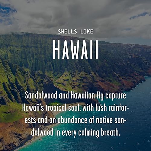 Vista 312 de Regalos de Nueva York, decoración de Nueva York para el hogar – 'There No Place Like New York Candle, con manzana jugosa, canela y calabaza I New