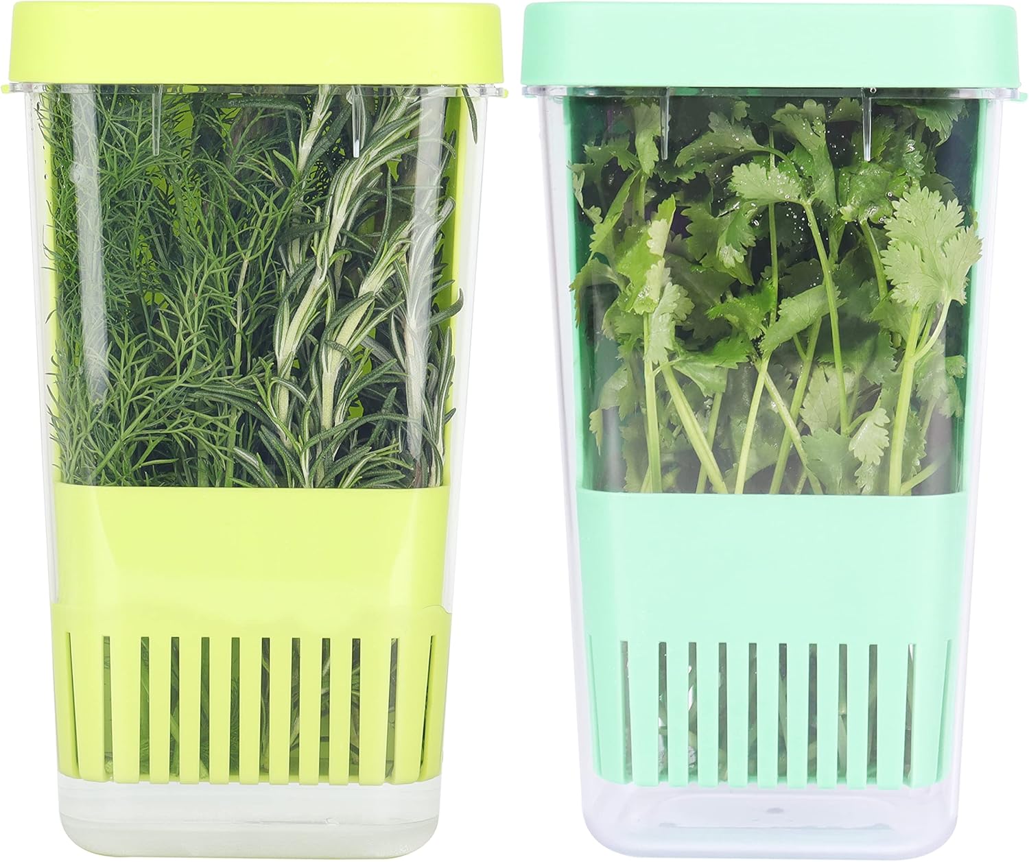 LAWNFUL 2 Pack Fresh Herb Keeper for Refrigerator, Clear Herb Saver