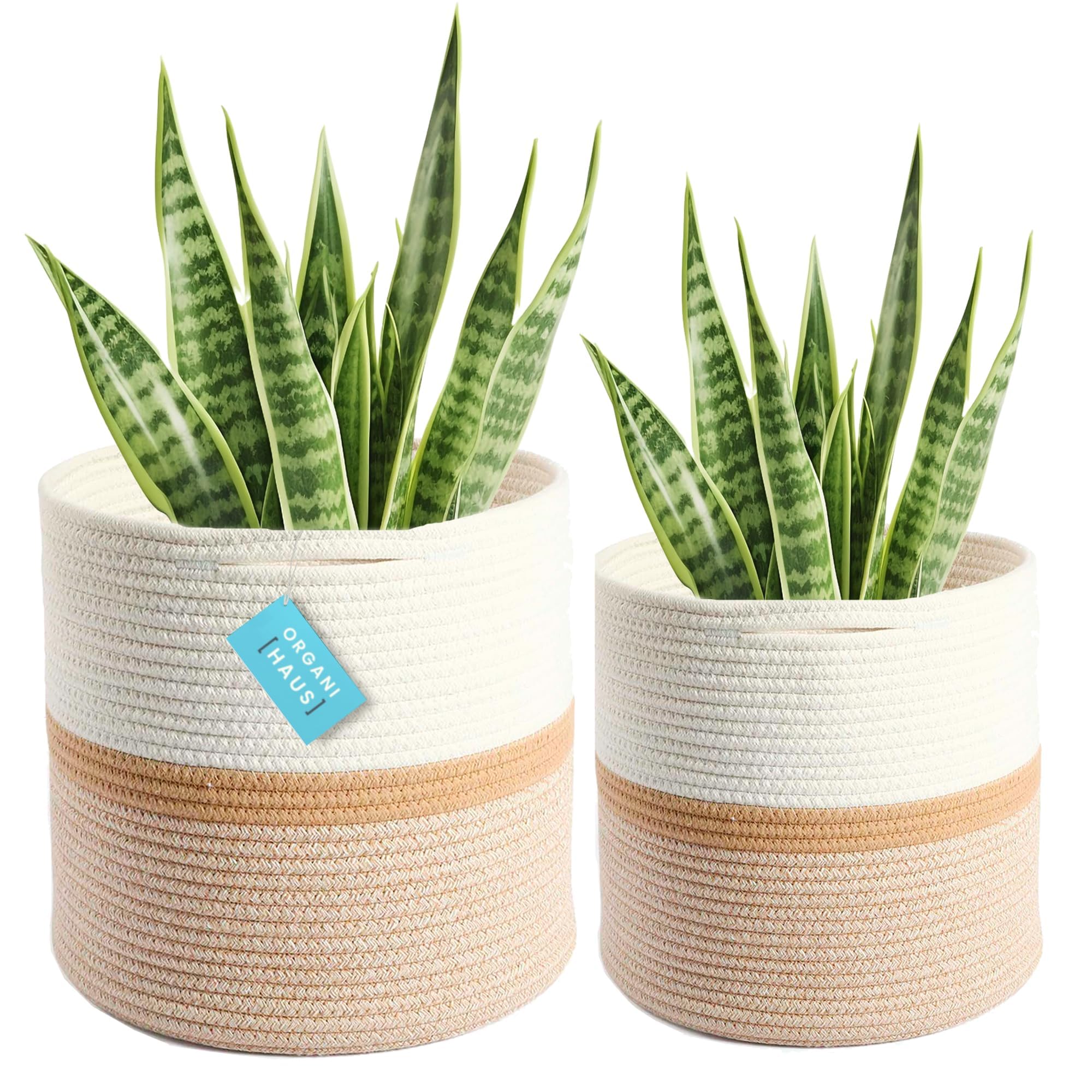 OrganiHaus Cesto Macetero Grande, 2 Unidades, Cesta Decorativa Estilo Boho Que Cubre Macetas, Cesta con Asa Oculta, Tiestos para Plantas de Interior Raya Miel/Blanco