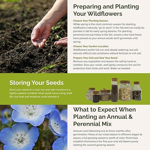 Miniatura 5 de Eden Brothers Singin the Blues - Semillas mixtas de flores silvestres para plantar, 14 libras, más de 120,000 semillas con lino azul, altramuces,