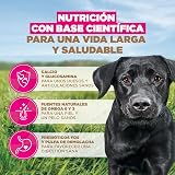 Ver la foto 5