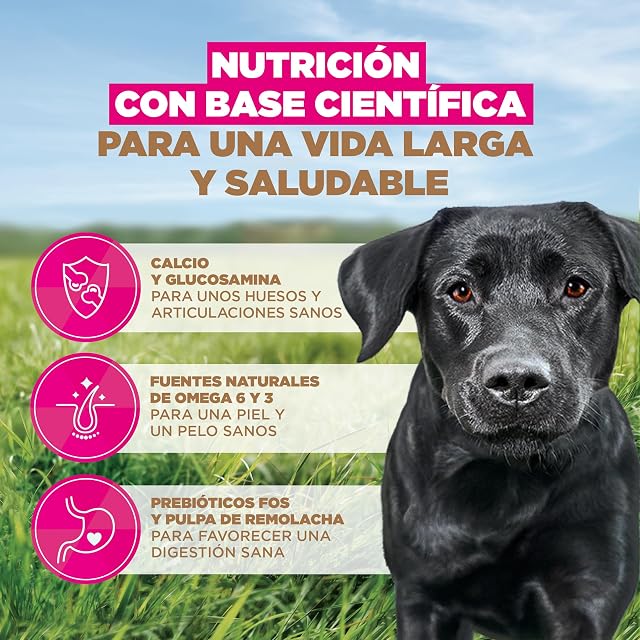 Foto 5 de 8 de Eukanuba, alimento para Perros sin Cereales con Pollo para Razas Grandes