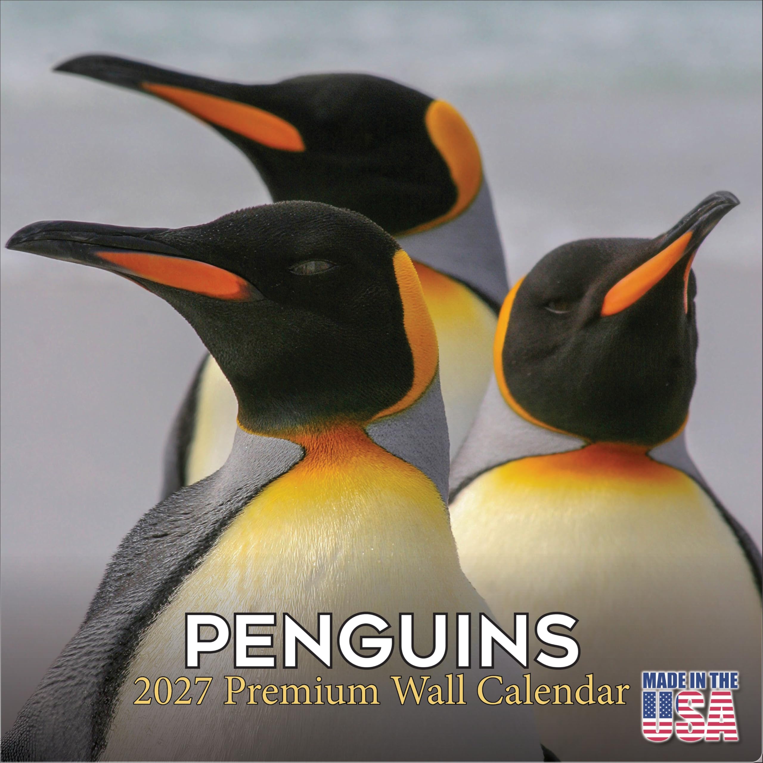 Amazon.com : 2027 Penguin Calendar - Cute Animal Sealife Monthly