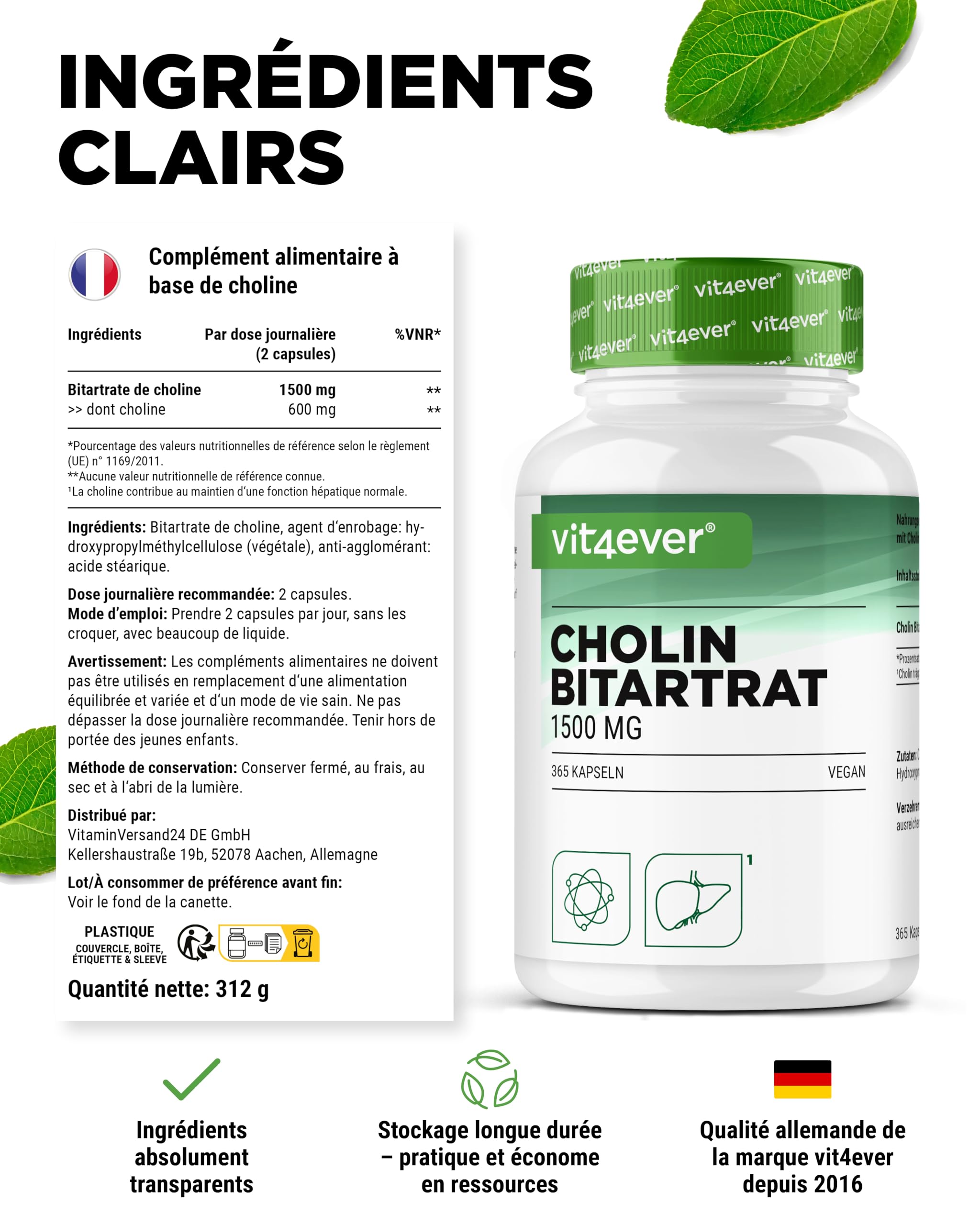 Gélules de Choline – 365 Gélules avec 1500 mg de Bitartrate de Choline par Dose Quotidienne – plus de 6 Mois de Réserve – Foie, Homocystéine & Métabolisme des Graisses – Naturel, Fortement Dosé, Véga