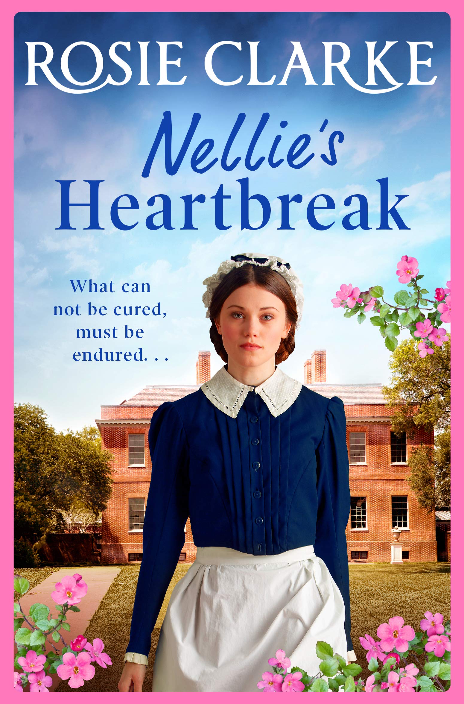 Nellie's Heartbreak: A compelling saga from the bestselling author the Mulberry