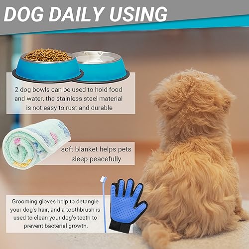 Vista 5 de FLYSTAR Kit de iniciación para cachorros para perros pequeños, 26 piezas que incluyen juguetes para perros, collar y correa, clicker