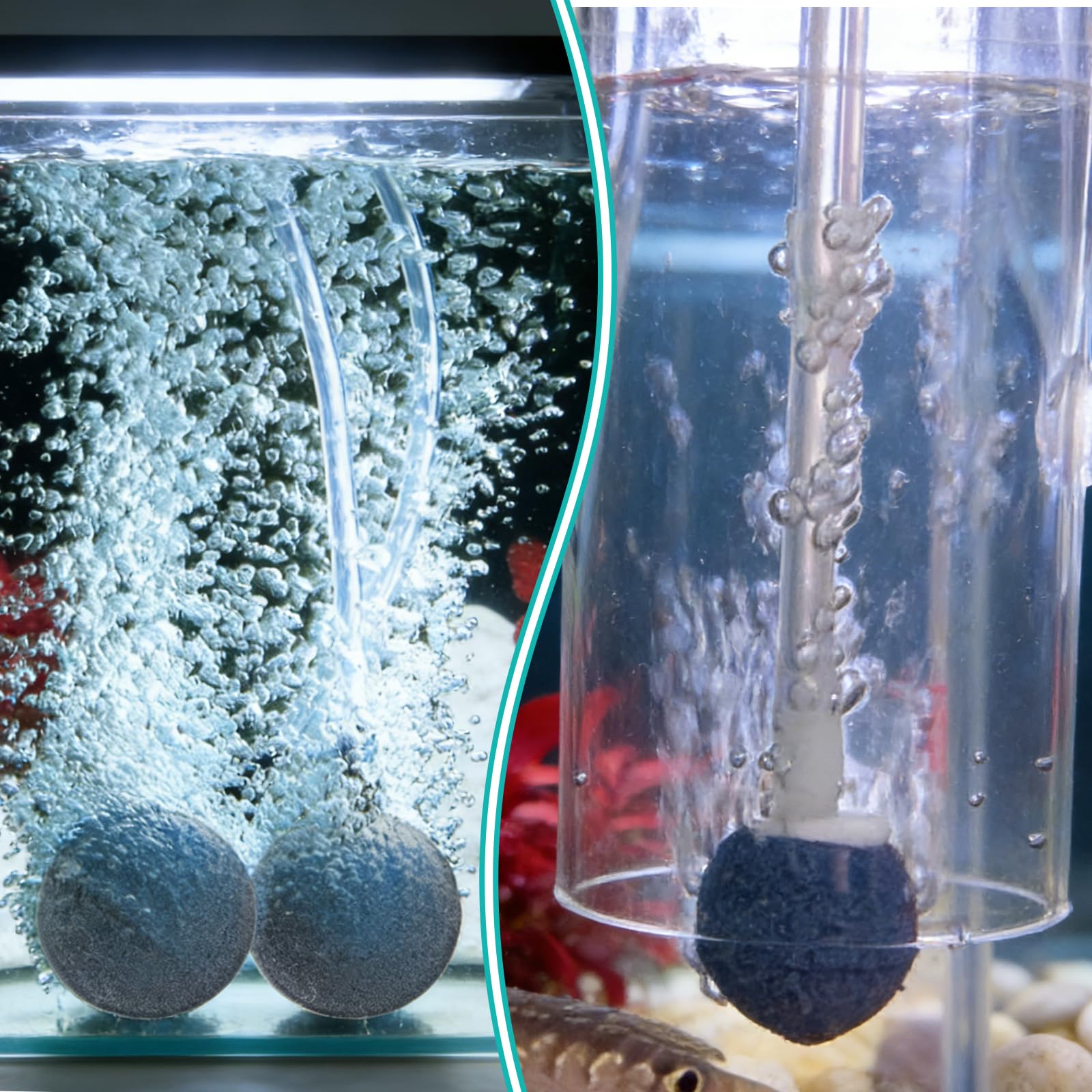 20 Stück Aquarium Luftstein Sauerstoffsteinscheibe Zylinderförmig und Kugelförmig Form des Steins Sauerstoff Diffusor für Luftpumpen,Eimer,Hydropnik,Kleine Teiche(15 mm, 28 mm)
