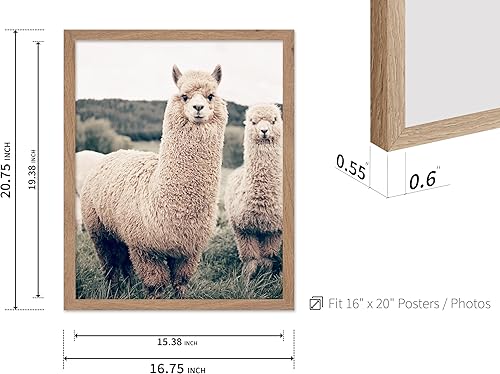 Vista 268 de Poster Master Póster de alpaca – Impresión de alpacas en pastizales – Arte de fotografía – Regalo para hombres, mujeres y amantes de los animales