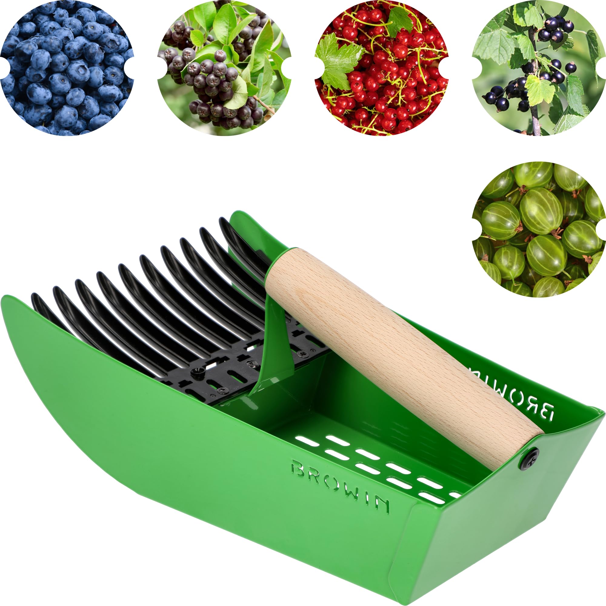 BROWIN® Beerenpflücker für kleine Früchte 705011 | Blaubeerpflücker zum Pflücken von Himbeeren, Brombeeren, Heidelbeeren und Johannisbeeren | grün aus Metall