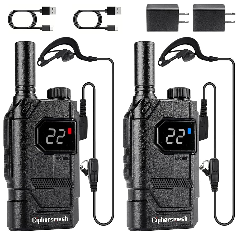 洋楽 That Skinny Motherf With the High Voice Wilfully Obscure: Dump - That Skinny Motherfucker With the