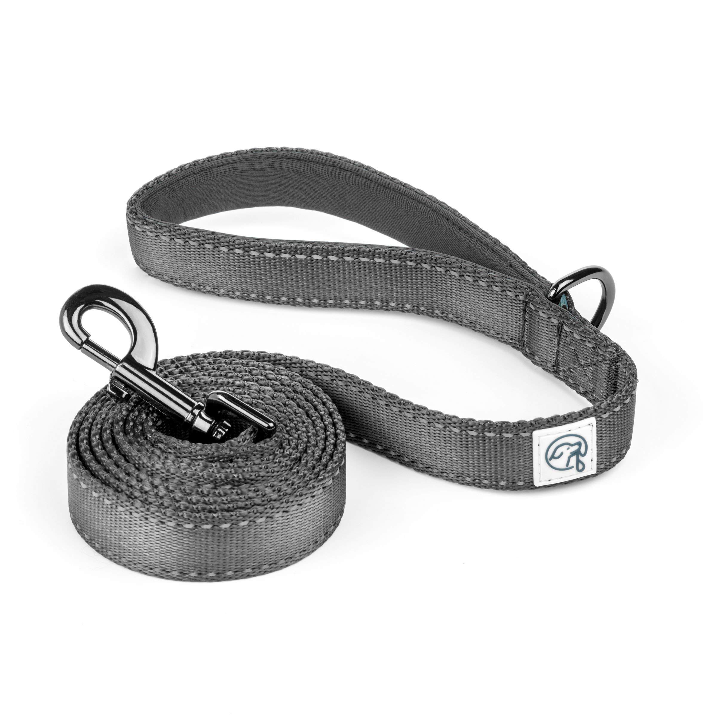 Embark Adventure Dog Leashes - Colorful, Strong, and Sturdy Dog Leash for Small, Medium, and Large Breed Dogs (Black, 5 Ft)