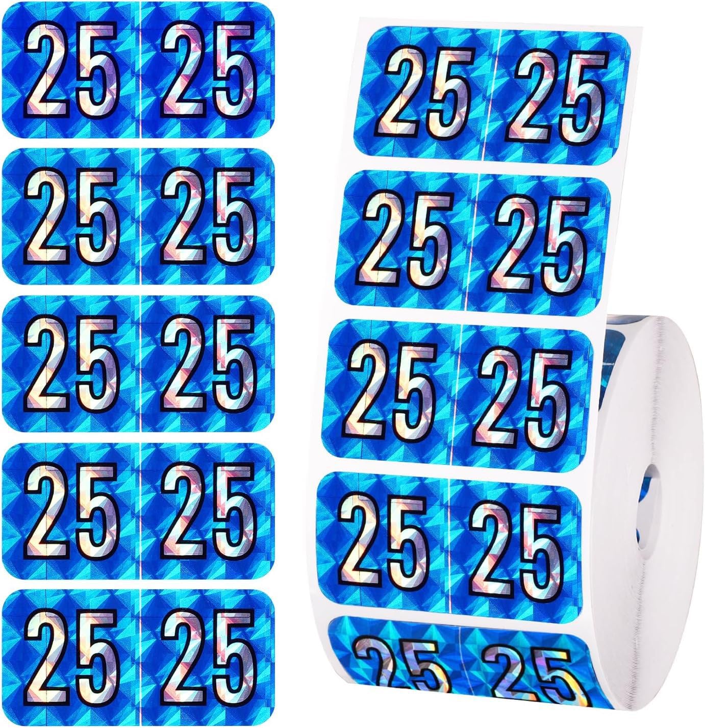 500Pcs 2025 Year Stickers Self Adhesive File Folder Labels Rectangle Color Coded Stickers Office Supplies for End Tab Chart (Blue/Silver)