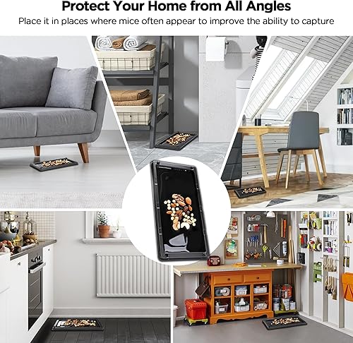 Miniatura 8 de Trampas de pegamento para ratones, paquete de 12, grifos para ratas de ratón, extra fuertes, tableros adhesivos pre-cebados, trampas de pegamento