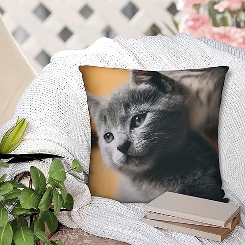 Miniatura 6 de Funda de almohada personalizada diseño de fotos o texto personalizable fundas de cojín impresas en dos lados almohada personalizada para fotos de