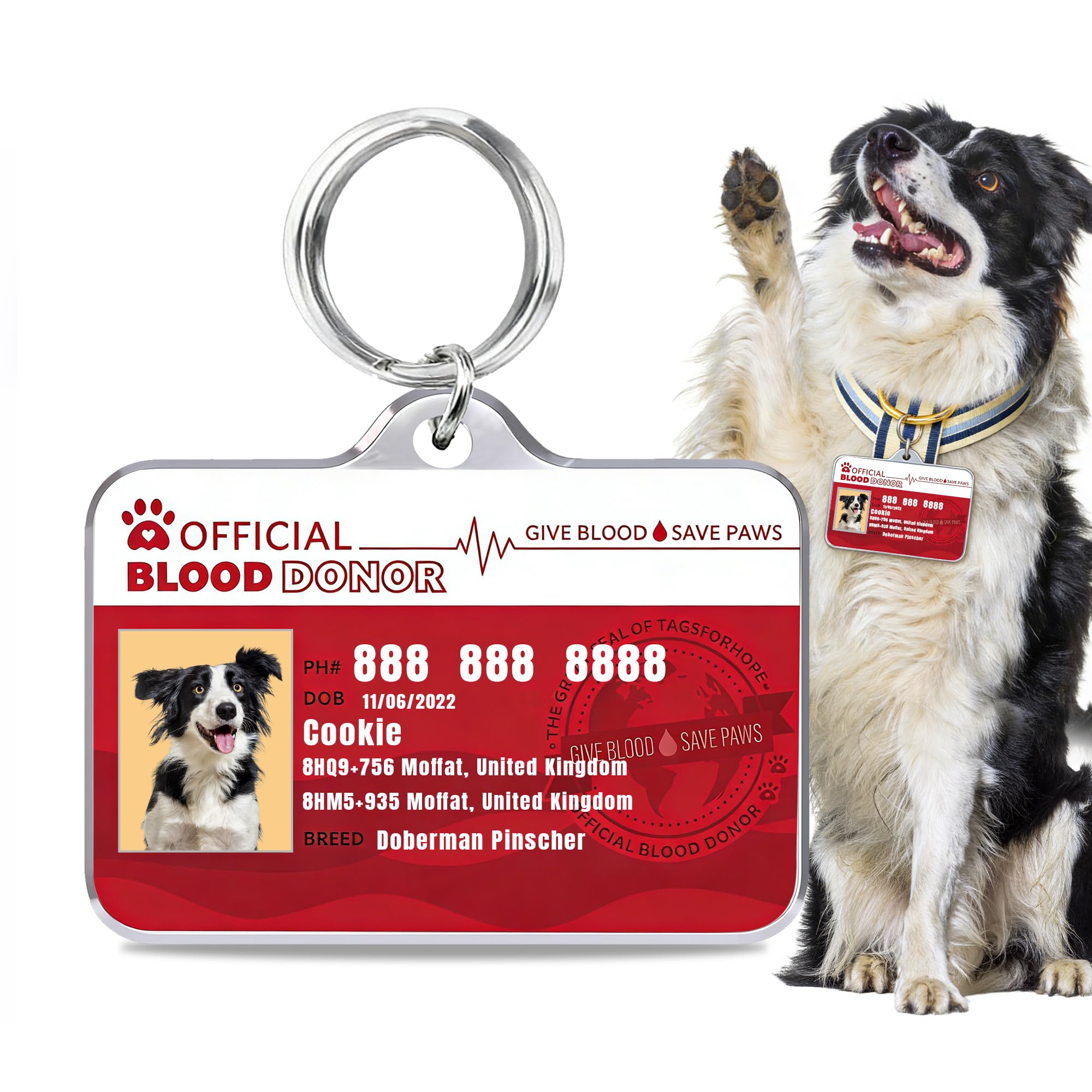 Stainless Steel Personalized Dog & Cat ID Tags - Fun Styles for Sporty Outdoor Pets - Custom Printed Name & Info for Collar Accessories-Official Blood Donor