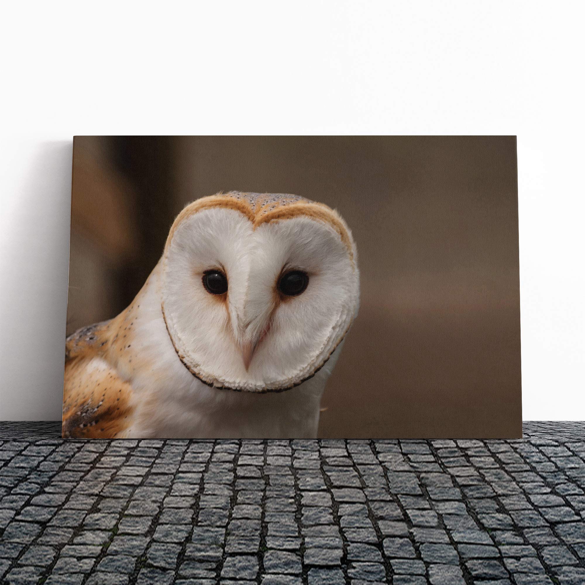 Barn Owl Vol.2 Canvas Print | Gallery Wrapped 30mm Frame Wall Art | 20x14 inches | Ready to Hang | Modern Animals Picture | Living Room Bedroom Lounge Office