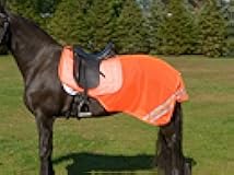 Shires Equi-Flector® Mesh Exercise Sheet (54