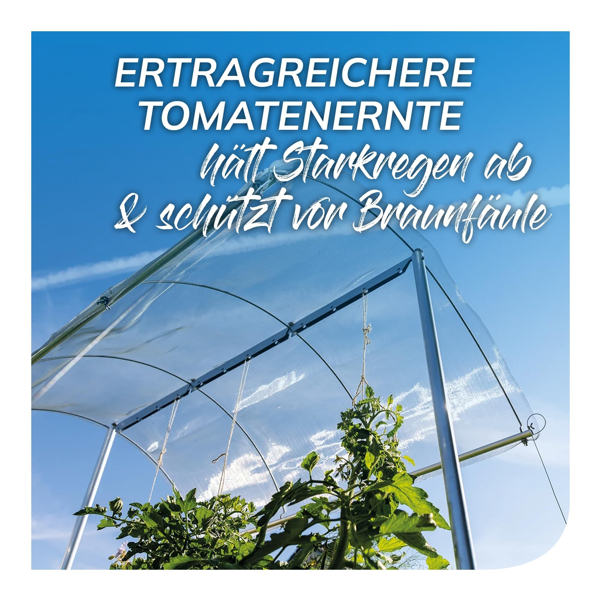 bellissa Tomatendach Aluminiumgewebe höhenverstellbar von 125-185 cm | Pflanzenschutzdach für Tomaten, Gurken, Bohnen Überdachung gegen Starkregen & Braunfäule