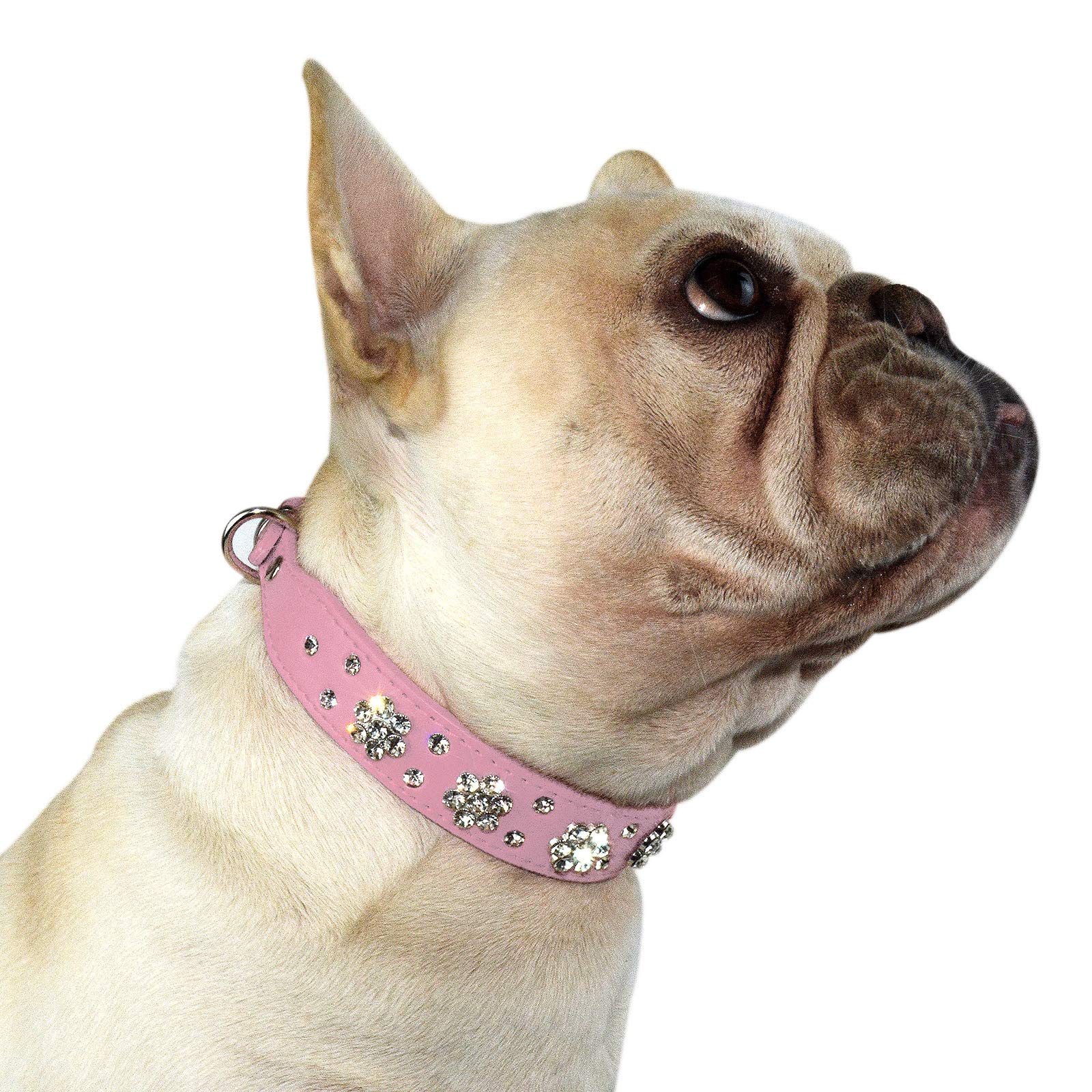 Glitzer-Hundehalsband Mit Strass-Schmetterling – Weiches Wildleder Für Kleine & Mittlere Hunde