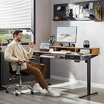 WALKINGDESK 63x24 Inches Electric Standing Desk with Keyboard Tray, Height Adjustable Stand up Desk with 2 Drawers, Ergonomic Sit to Stand Desk with Storage Monitor Stand, Computer Table, Rustic Brown