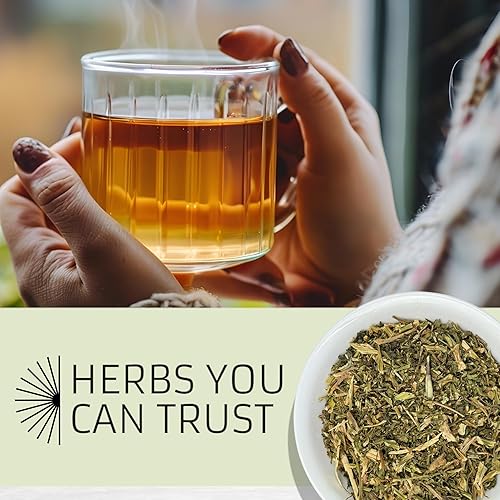 Miniatura 6 de Evergreen Herbs Epazote De Comer Hierba - (Semilla de Ajeno) 8 oz. - Semilla de ajenjo, té jesuita, té mexicano, payqu (paico), epazote o herba