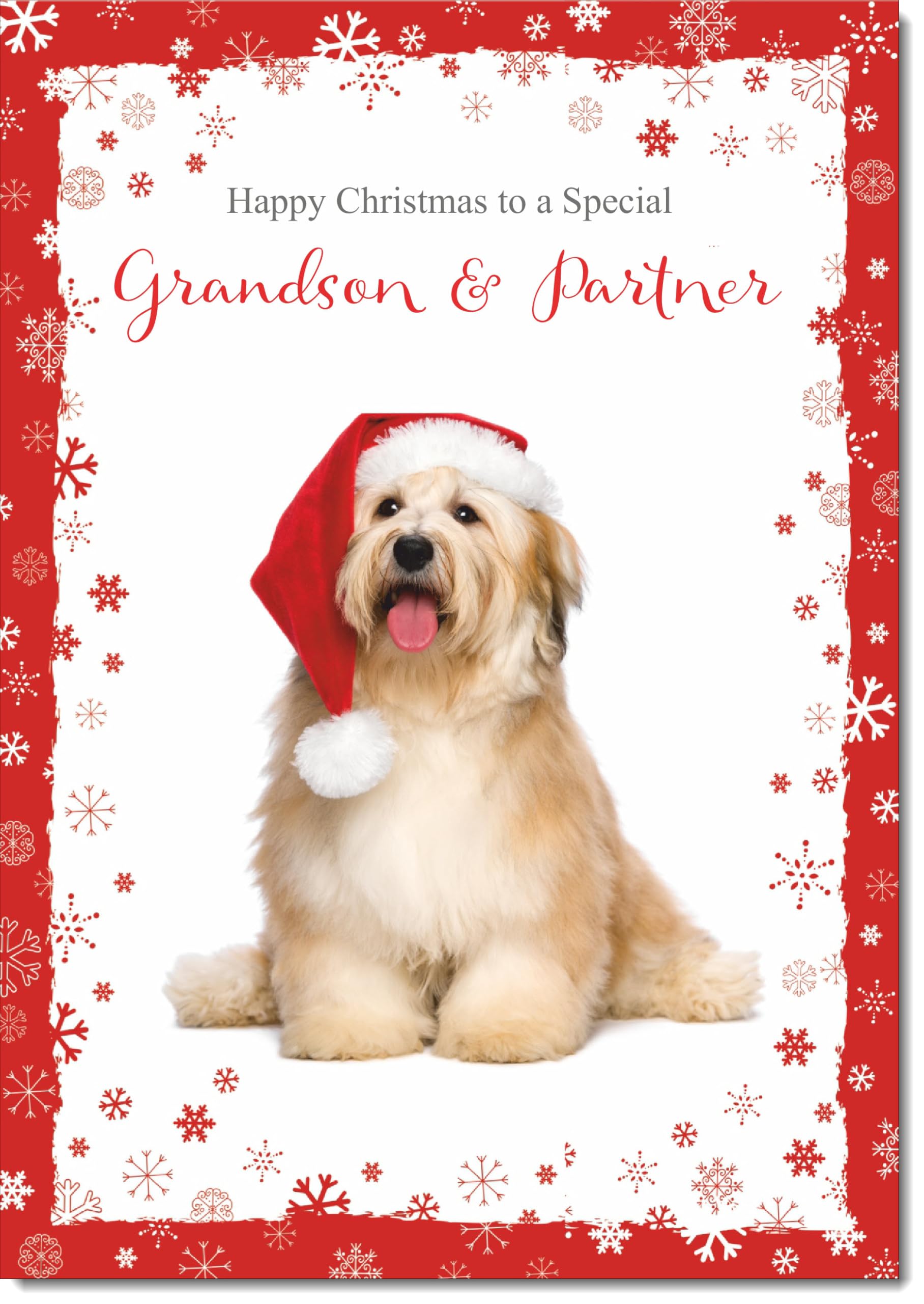 doodlecards Grandson and Partner Christmas Card Dog with Santa Hat Large A4 Size Christmas Card for Grandson & Partner with Plain Envelope — image 1