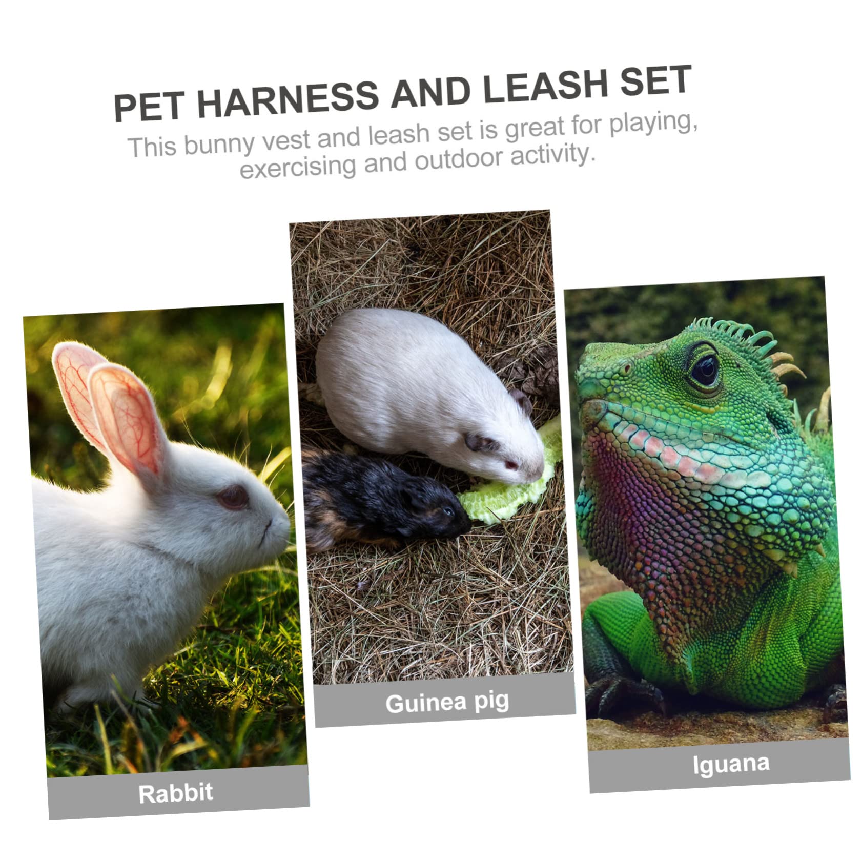 CIYODO Guinea Pig Harness Leash 1 Set of Thicken Vest for Rabbit Hamster Pet Walking Harness Long Serving