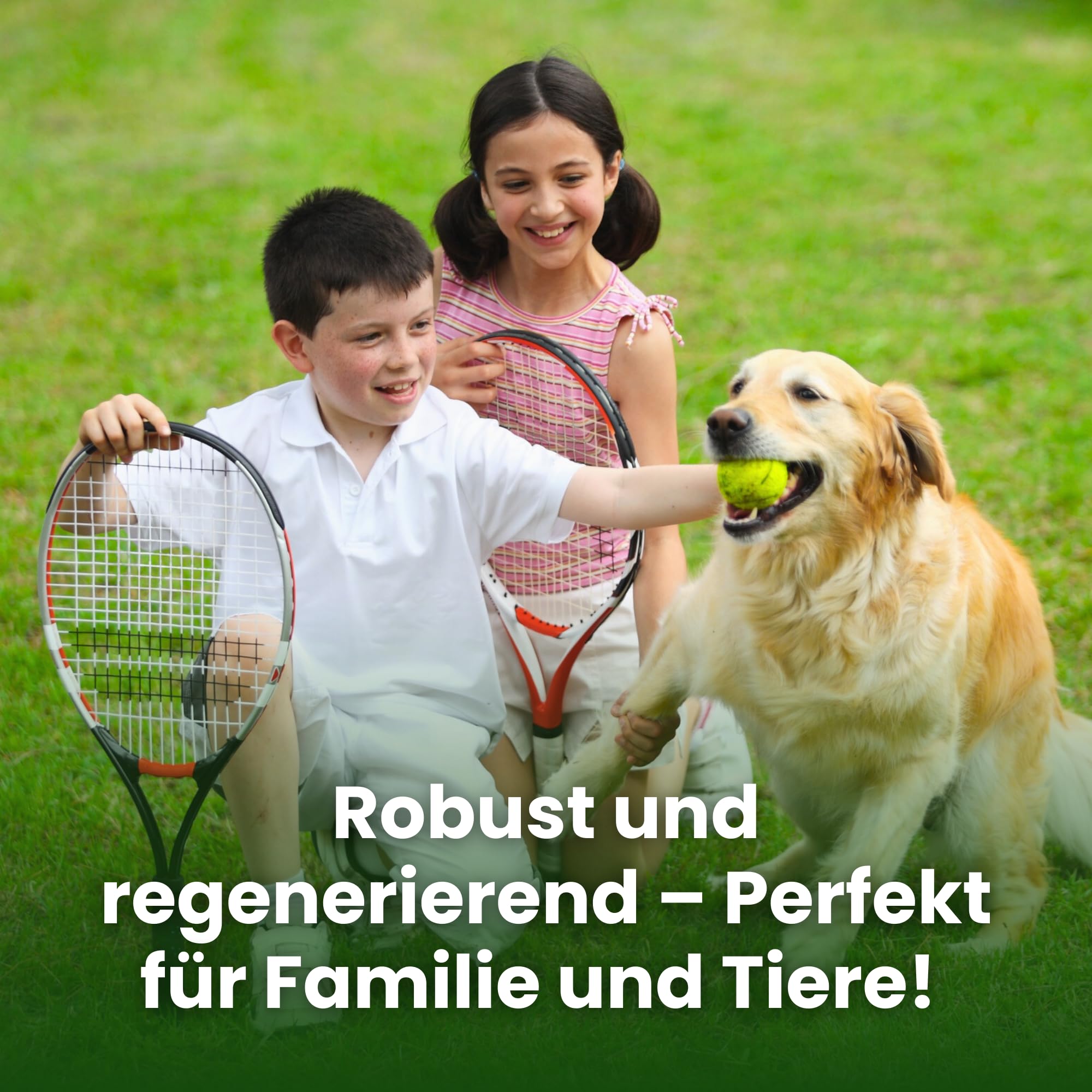 LERAVA CHAMPION Rasensamen (185 m²) - trockenresistent & trittfest - schnellkeimender Grassamen für dichten Rasen - strapazierfähige Nachsaat Herbst - ideal für Spiel- & Sportrasen