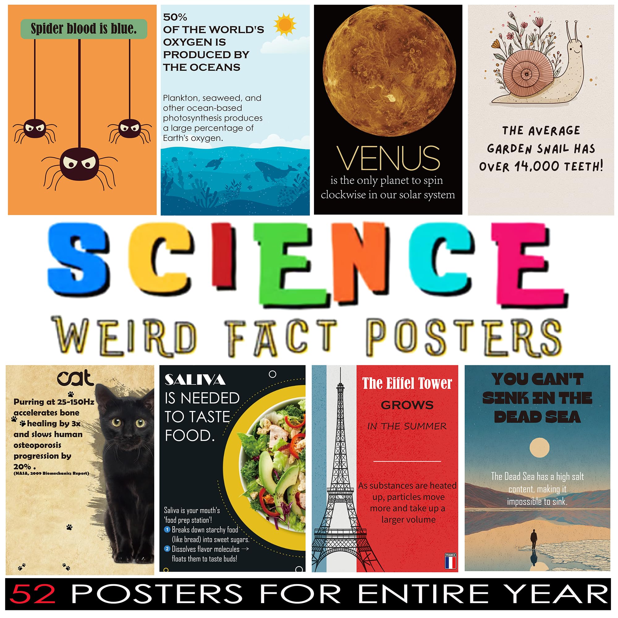 1step2dream Funny Science Posters for Elementary Classroom - Weird Educational Bulletin Board Decor with Amazing Facts - Inspire Students with Thought Provoking STEM Displays​