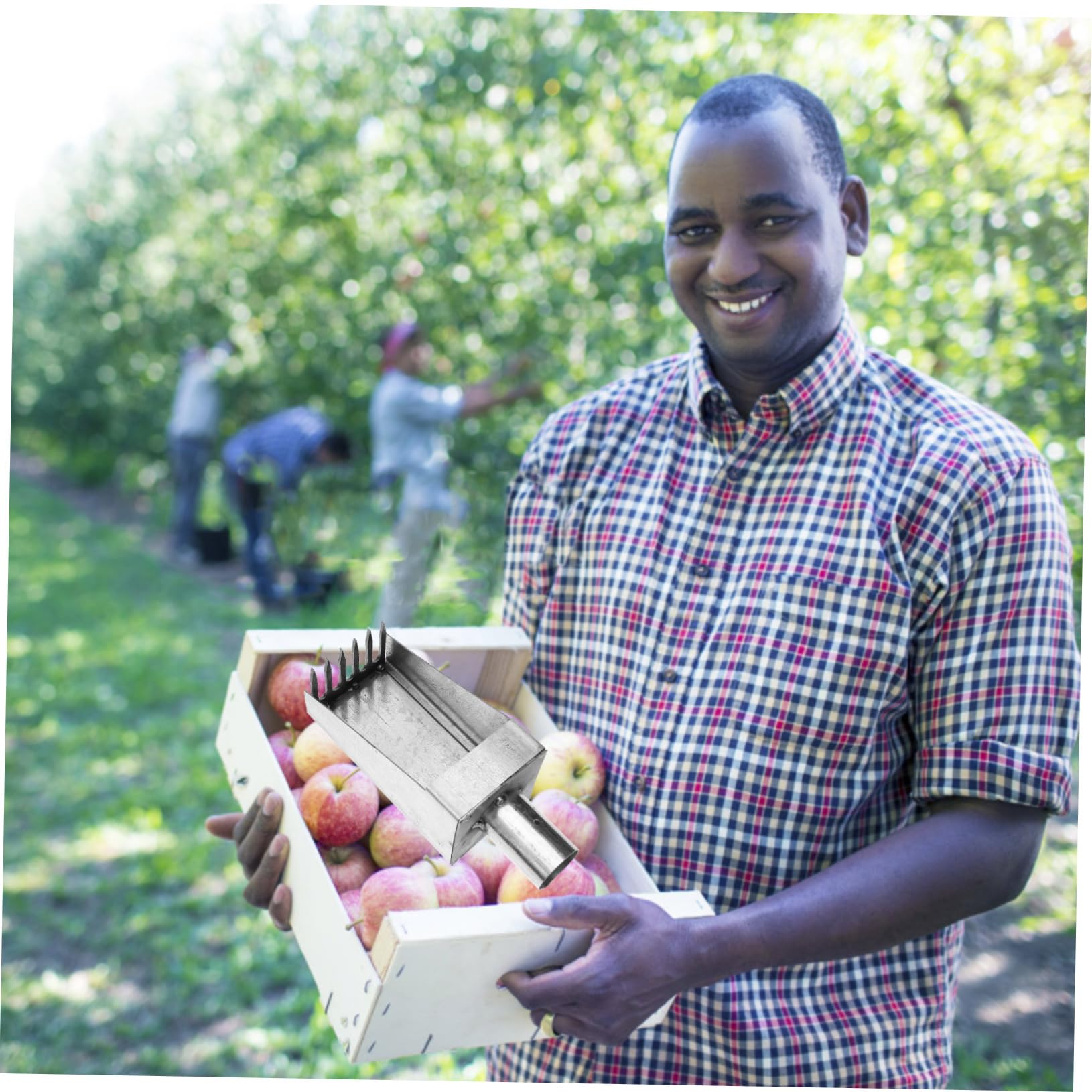 Supvox 5stücke Fruit Picker Für Müheloses Ernten Wie Äpfeln Und Pfirsichen Leiter Tragbar Und Handlich Für Gartenarbeiten