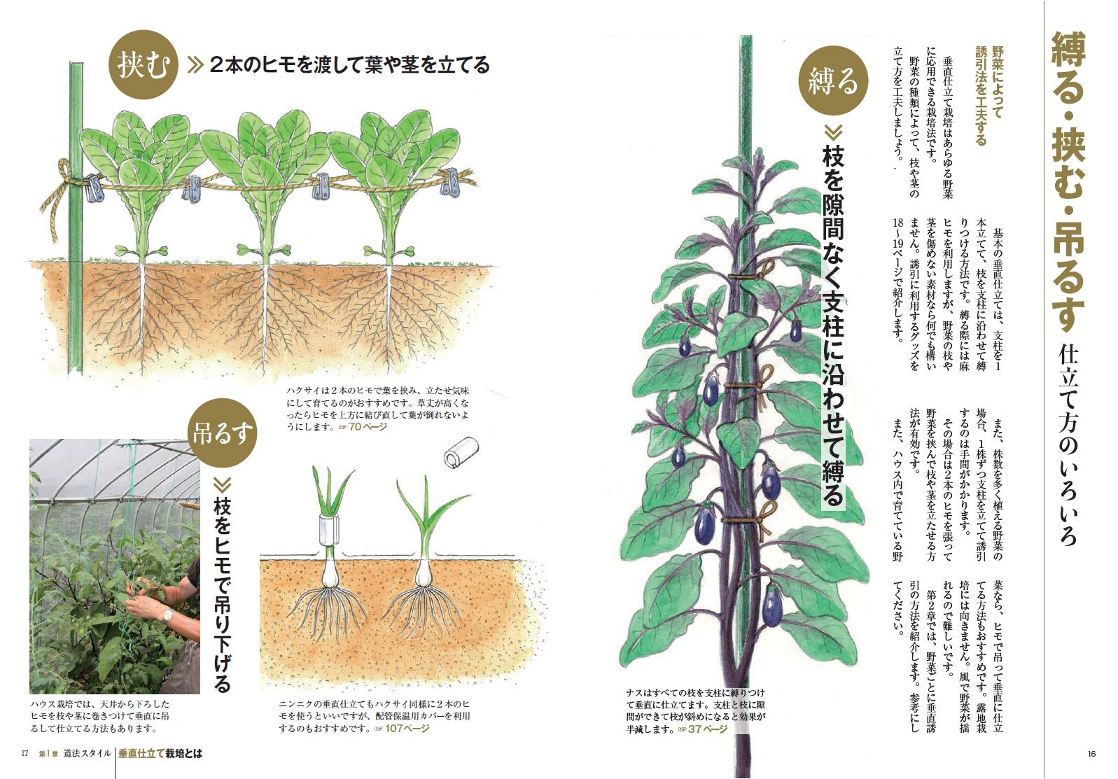 道法スタイル 野菜の垂直仕立て栽培 正徳 道法 配送料無料