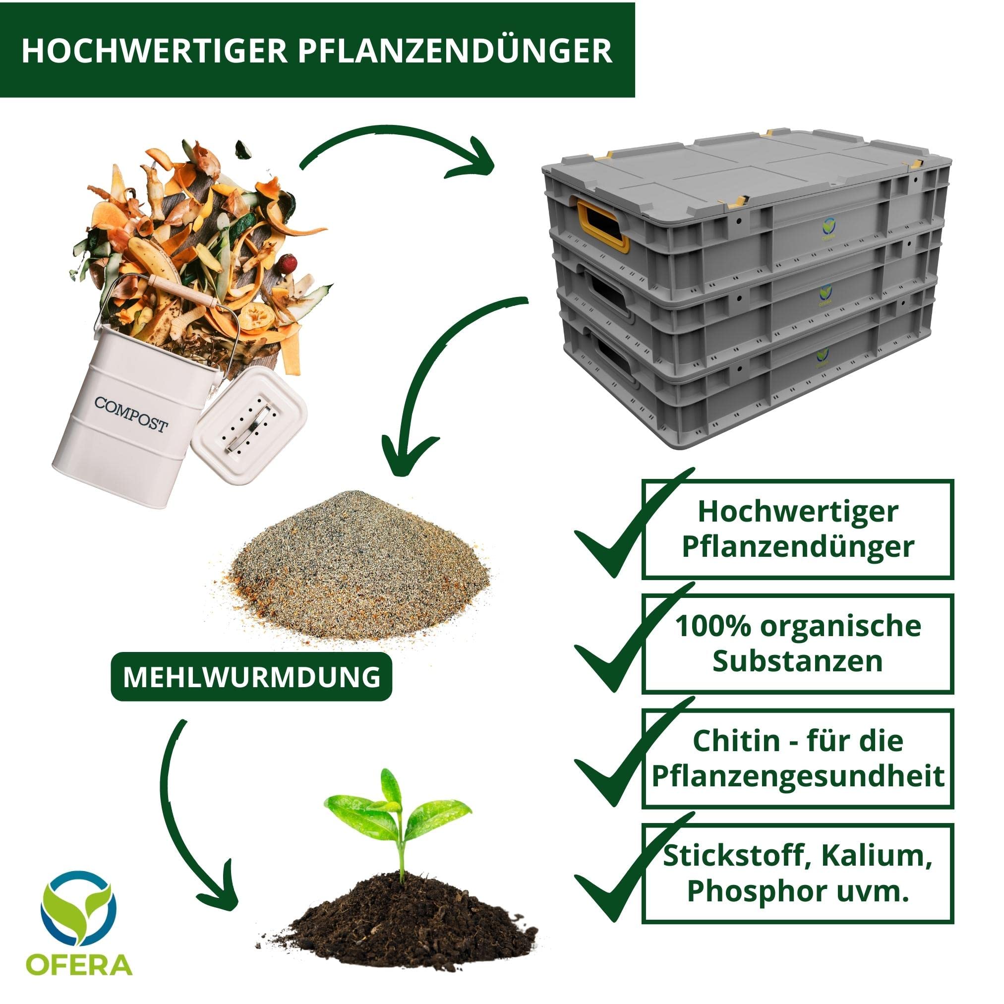 Mealworm Farm - Gusano de harina
