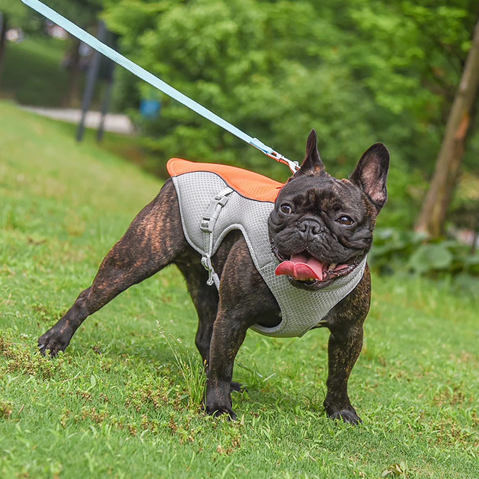 CUTTE Kühlweste für Hunde, Atmungsaktiv Sofort Kühlende Hundeweste für Hunde, Sonnenschutz Outdoor Walking Training Wandern Im Sommer
