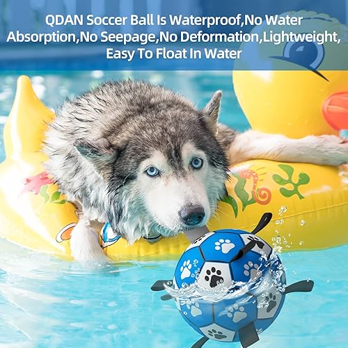 Miniatura 6 de QDAN Juguetes de cuerdas para perros con correas, juguetes interactivos para perros para tira y afloja, regalos de cumpleaños para cachorros,