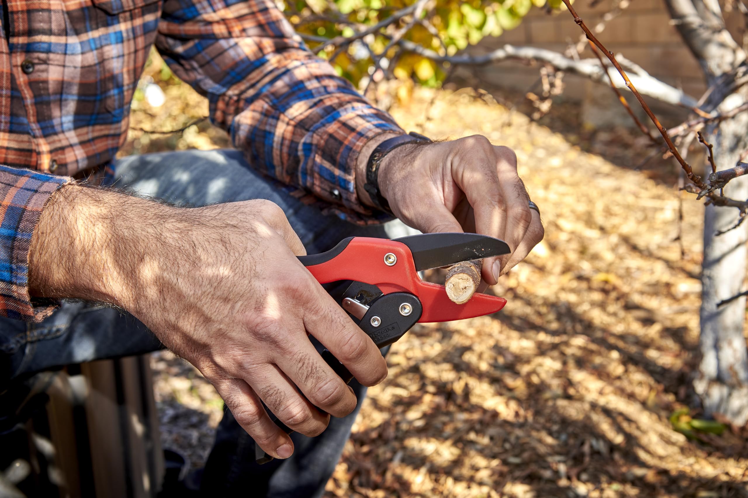 Amazon.com : Corona Tools Ratchet Hand Pruner – 3/4-Inch Cut